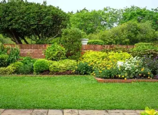 landscaping services Cedar Creek